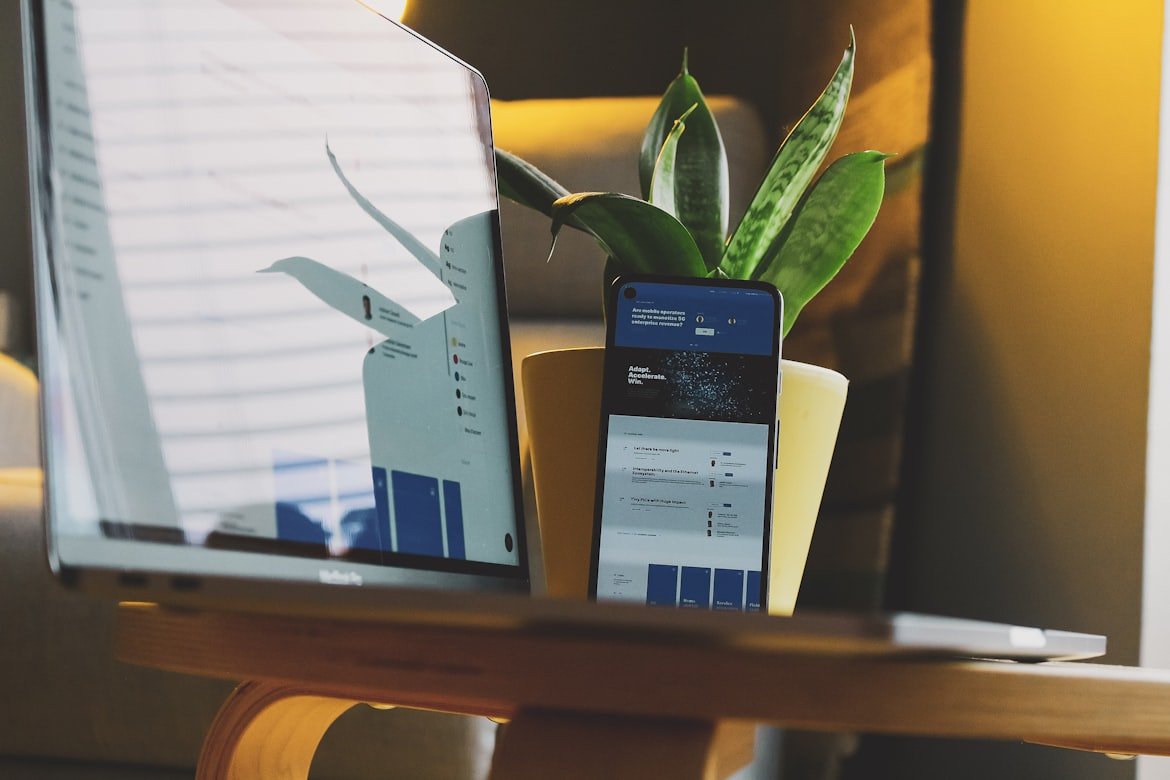 Digital Business Company in Santa Monica CA by Pink Gorilla