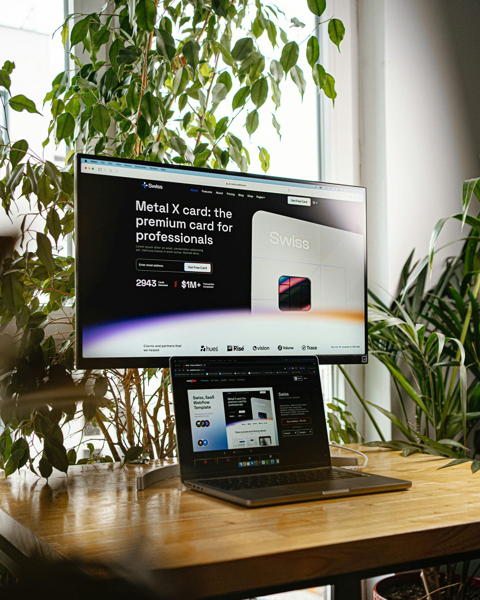 Pink Gorilla Web Design Company team serving Torrance scaled