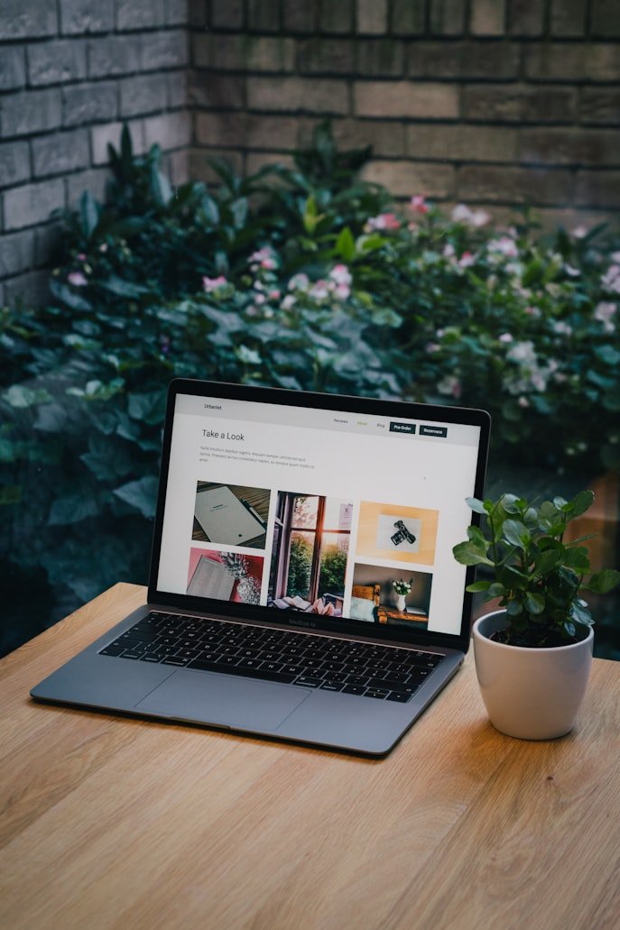 Pink Gorilla Web Development Company team serving Torrance